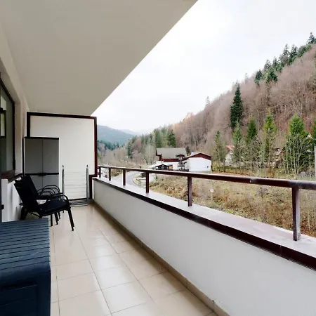 Vlad Studio Apartment Sinaia