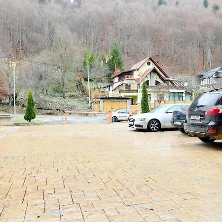 Vlad Studio Apartment Sinaia