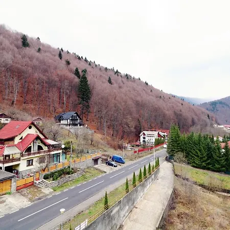 Vlad Studio Sinaia